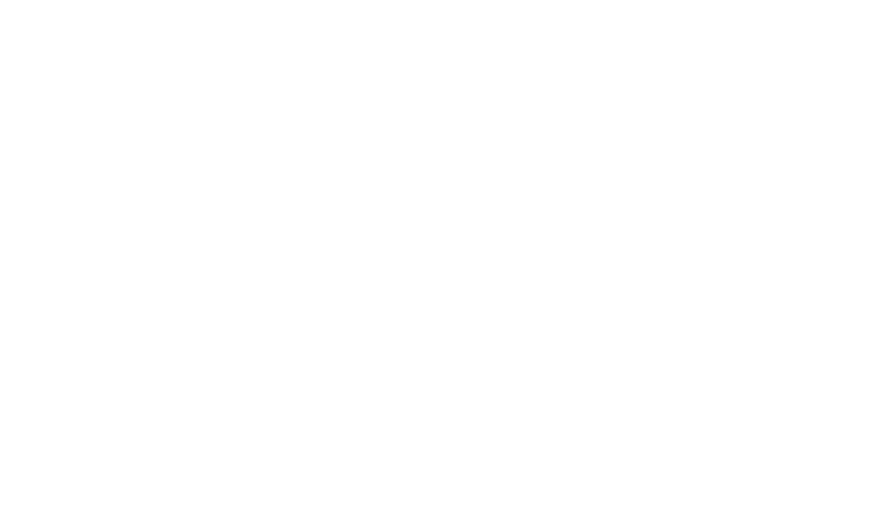 biz-stat consulting